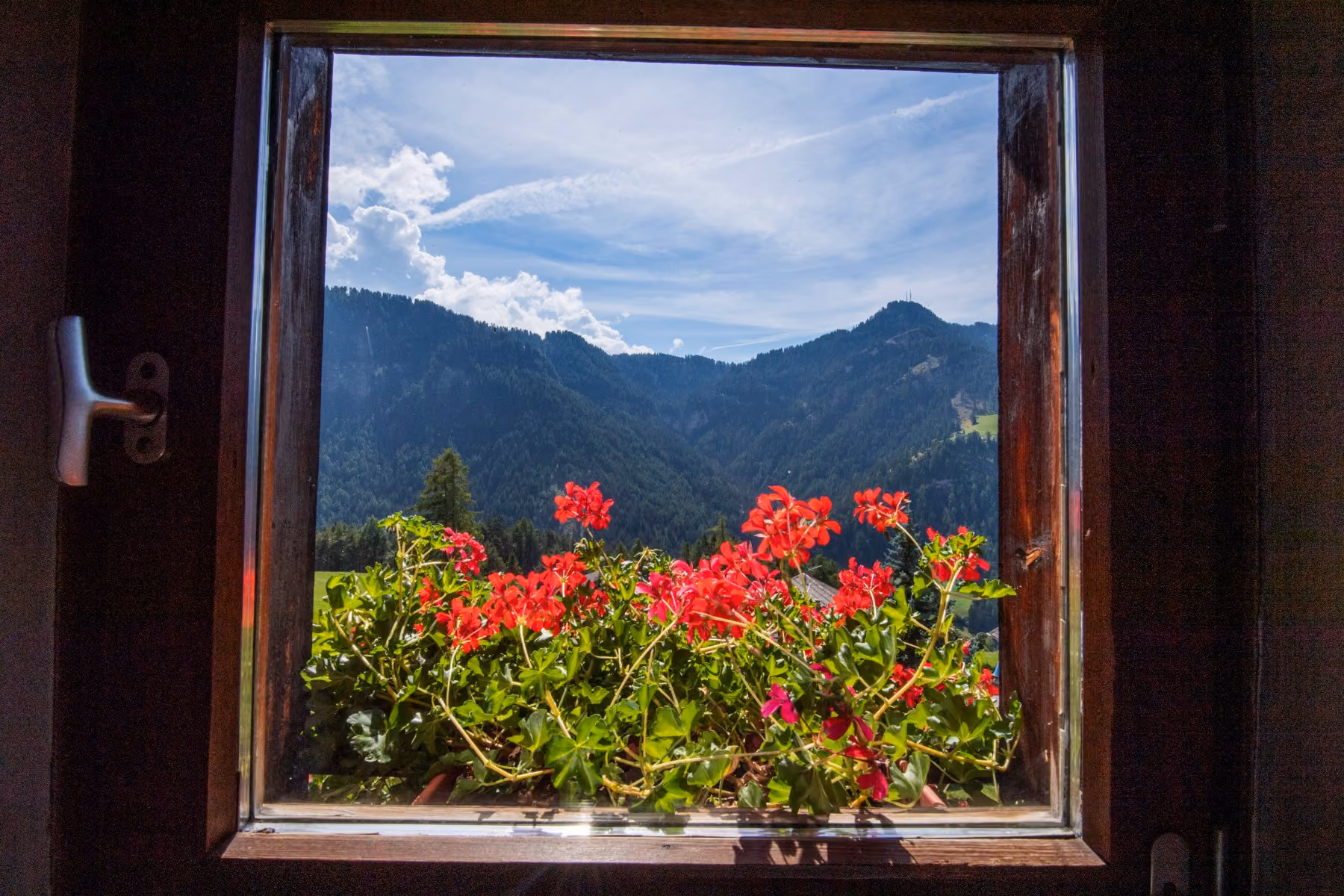 From inside the apartment: the window, the geraniums, the valley